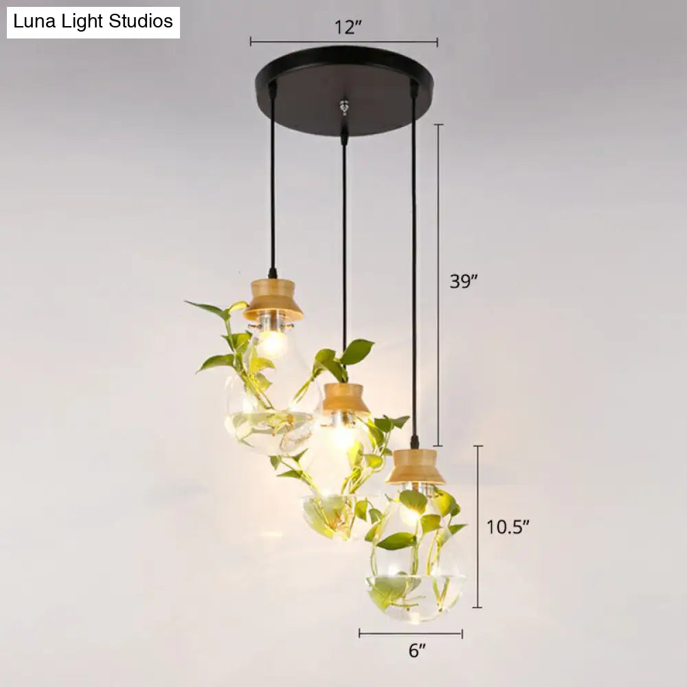 Teardrop Nordic Hydroponic Pendant Lamp - Clear Glass & Black