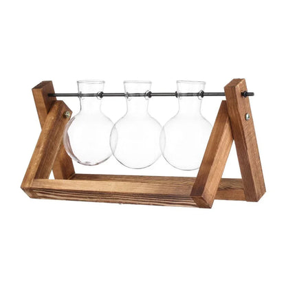 Transparent Avocado Seed Starter Vase - F - Vase