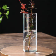 Transparent glass hydroponic vase with clear cylindrical design holding a plant with reddish leaves and green stems submerged