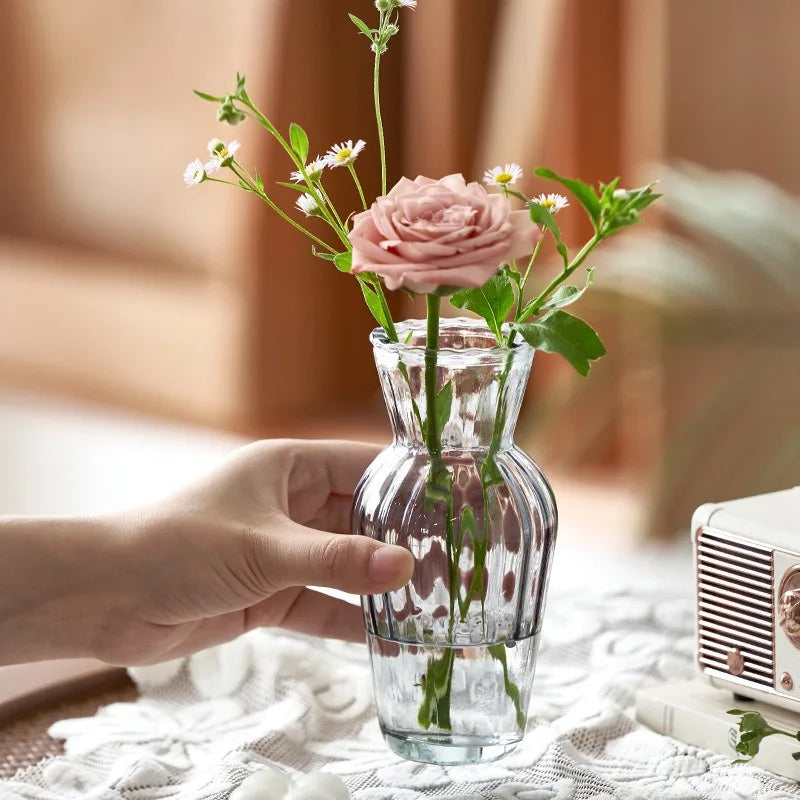 Transparent Nordic Vase for Plants and Flowers - Vase