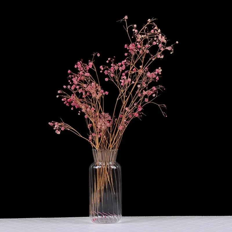 Transparent Nordic Vase for Plants and Flowers