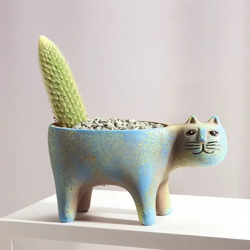 Turquoise ceramic cat succulent plant pot featuring a textured green cactus succulent plant for living room decor