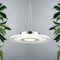 Ultrathin Acrylic Island Pendant LED Light in Warm/White/Natural