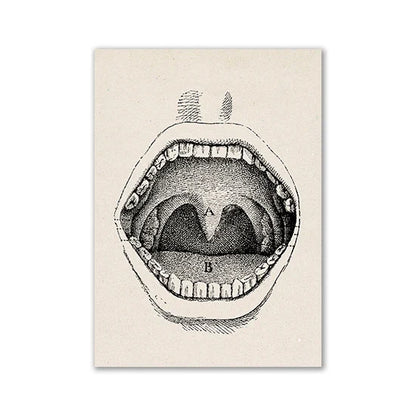 Vintage Anatomy Canvas Print - Medical Wall Art - 24 / 13x18cm No Frame / CHINA