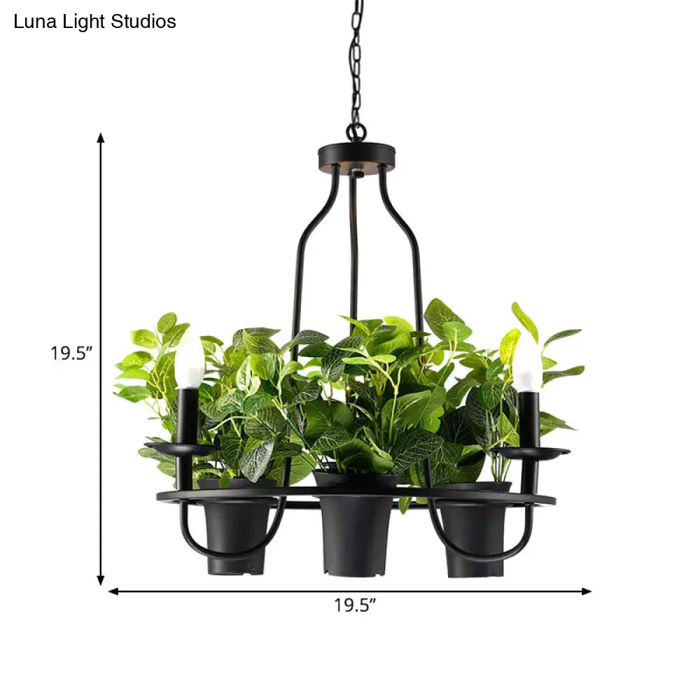 Vintage Bonsai Ceiling Chandelier with Iron Pendant Light in Black, 3/6 Bulbs, 1/2-Layer Design, 19.5"/27.5" Width
