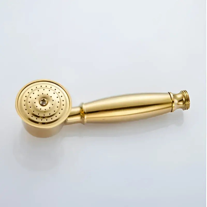 Gold-colored vintage brass and bronze hand shower head faucet set with polished metallic finish and circular spray face