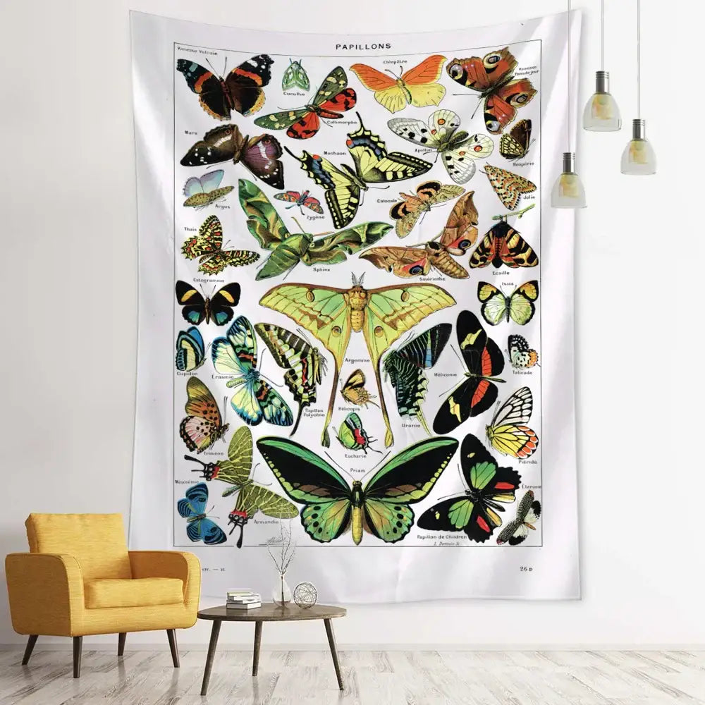 White wall tapestry decorbites butterfly map featuring colorful scientific butterfly illustration titled papillons for bedroom decor