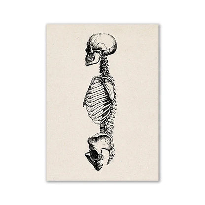 Vintage Human Anatomy Canvas Art Print