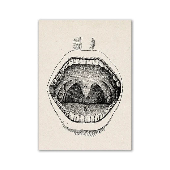 Vintage Human Anatomy Canvas Art Print