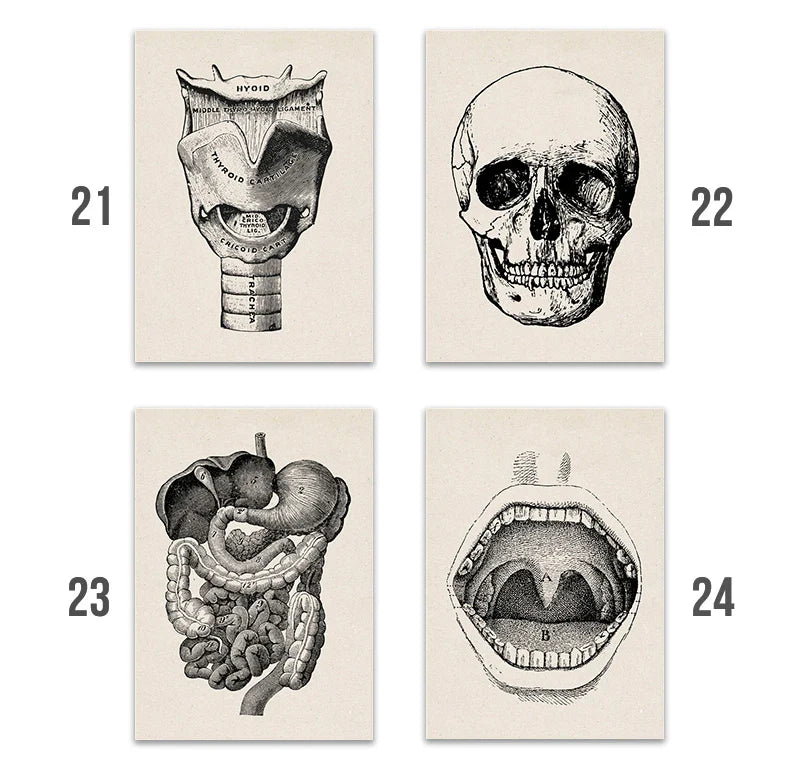 Vintage Human Anatomy Canvas Art Print