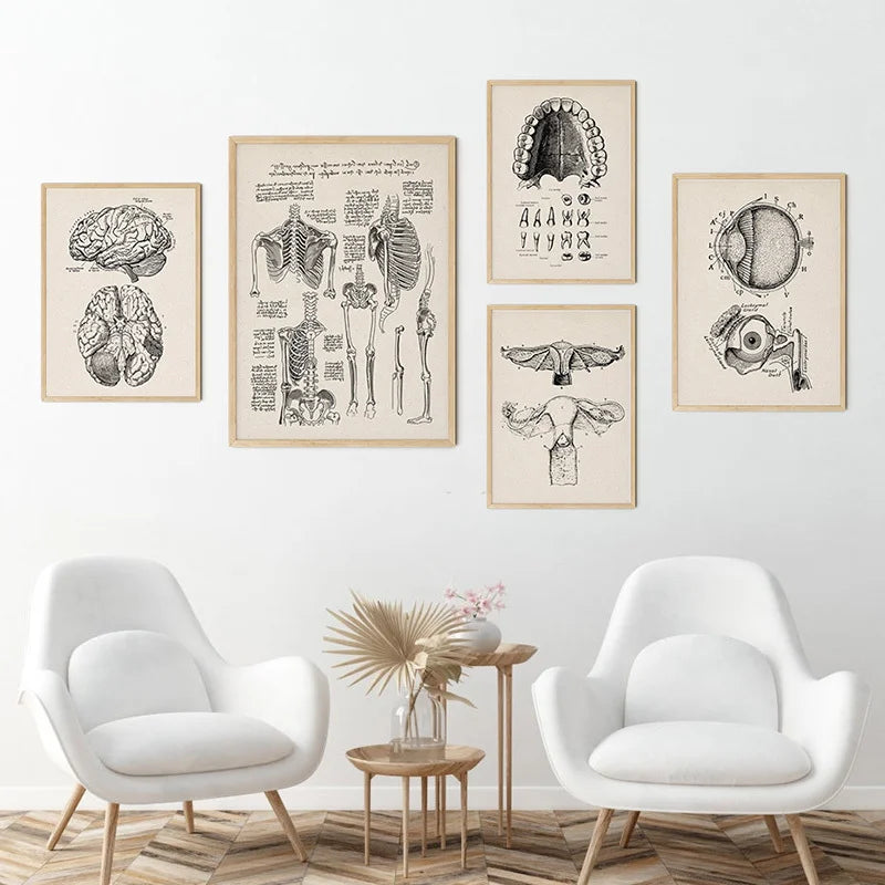 Vintage Human Anatomy Canvas Art Print