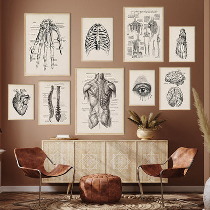 Vintage Human Anatomy Canvas Wall Art