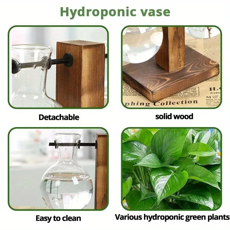Vintage hydroponic glass vase for desktop plant propagation