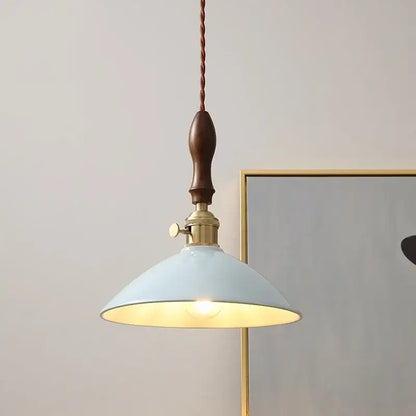 Vintage pale blue enamel pendant light with brass hardware dark wood handle and decorbites ceramic knob switch