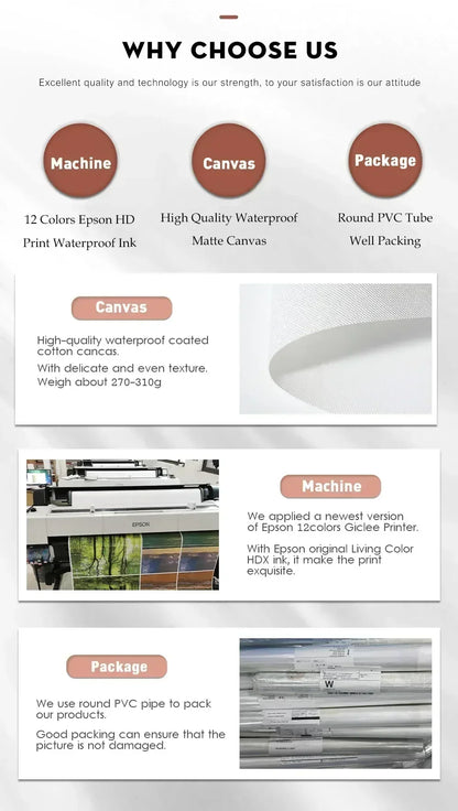 Vintage Pink Cartoon Print Canvas Wall Art - Posters