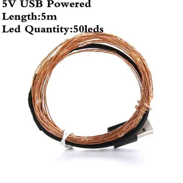 A coiled 5-meter usb-powered warm white led string lights with black copper wire cable for bedroom decoration