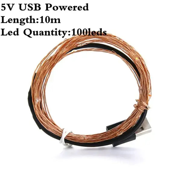 A coiled 10-meter usb-powered warm white copper wire led string lights with black insulation and 100 leds for bedroom decoration