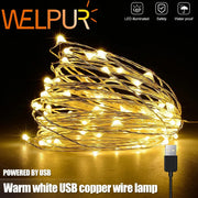 Warm white copper wire led string lights powered by usb perfect for bedroom decoration and ambient lighting