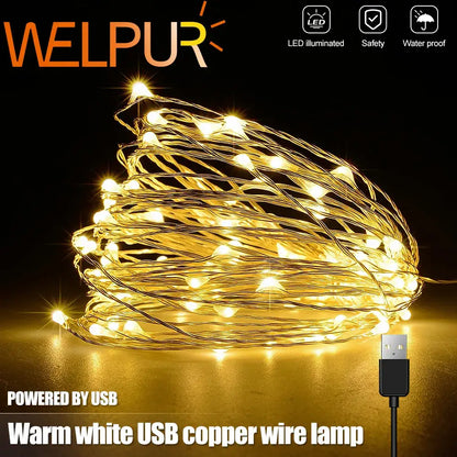 Coiled copper wire warm white led string lights with black usb connector available in 20 50 or 100 leds for bedroom decoration