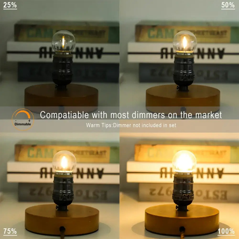 A warm white decorbites g40 e27 1w led globe bulb with clear glass and black metal base on wooden stand for outdoor patio lighting