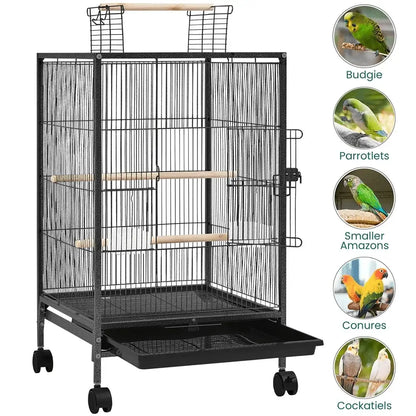 Black metal bird cage with wooden perches and tray for small-sized birds like budgies and conures by DecorBites