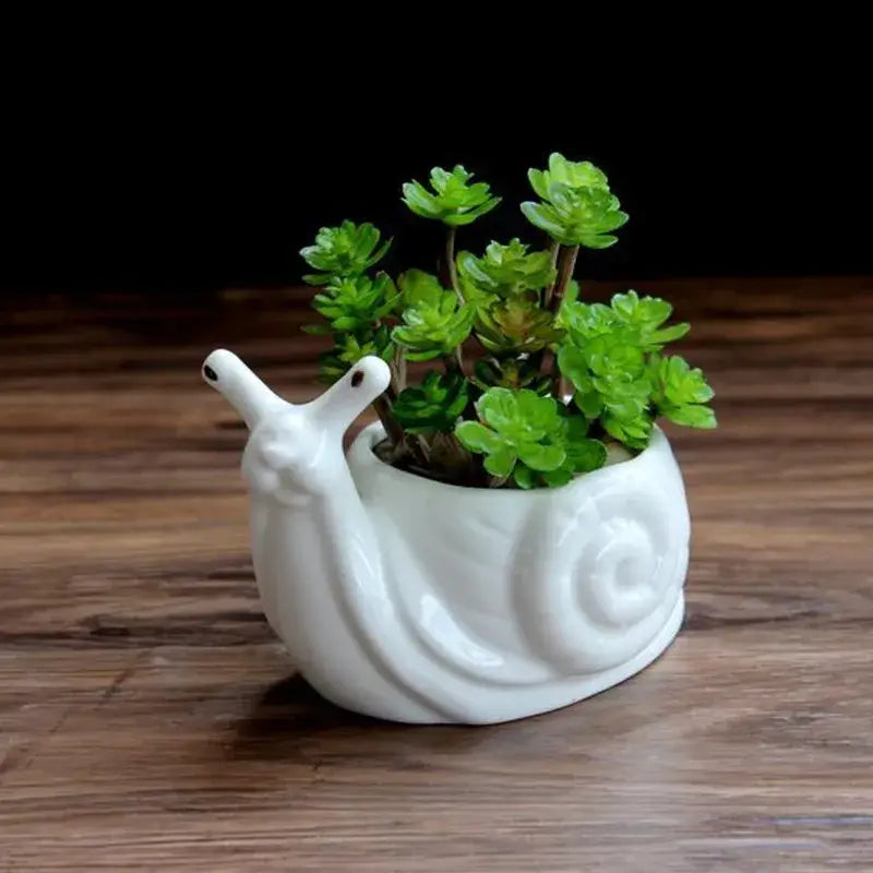 White ceramic cartoon snail flower vase by decorbites holding green succulents for garden decor use