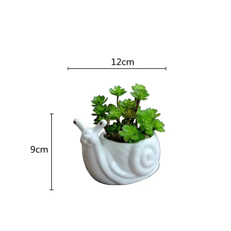 White ceramic cartoon snail flower vase with green succulents for indoor garden decorbites cartoon snail planter