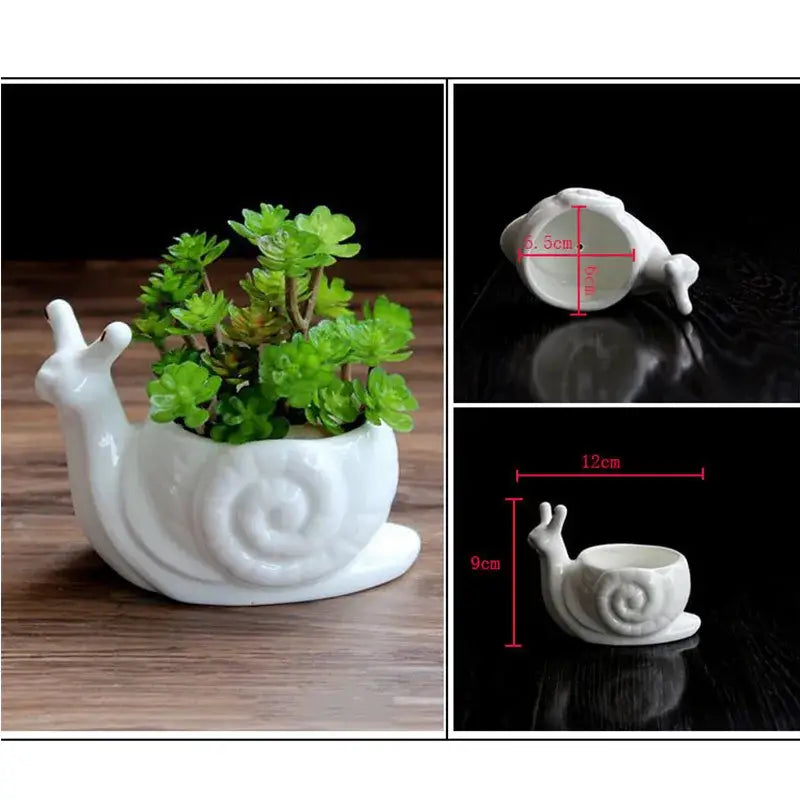 White ceramic cartoon snail flower vase with spiral shell design holding green succulents for decorbites cartoon snail decor
