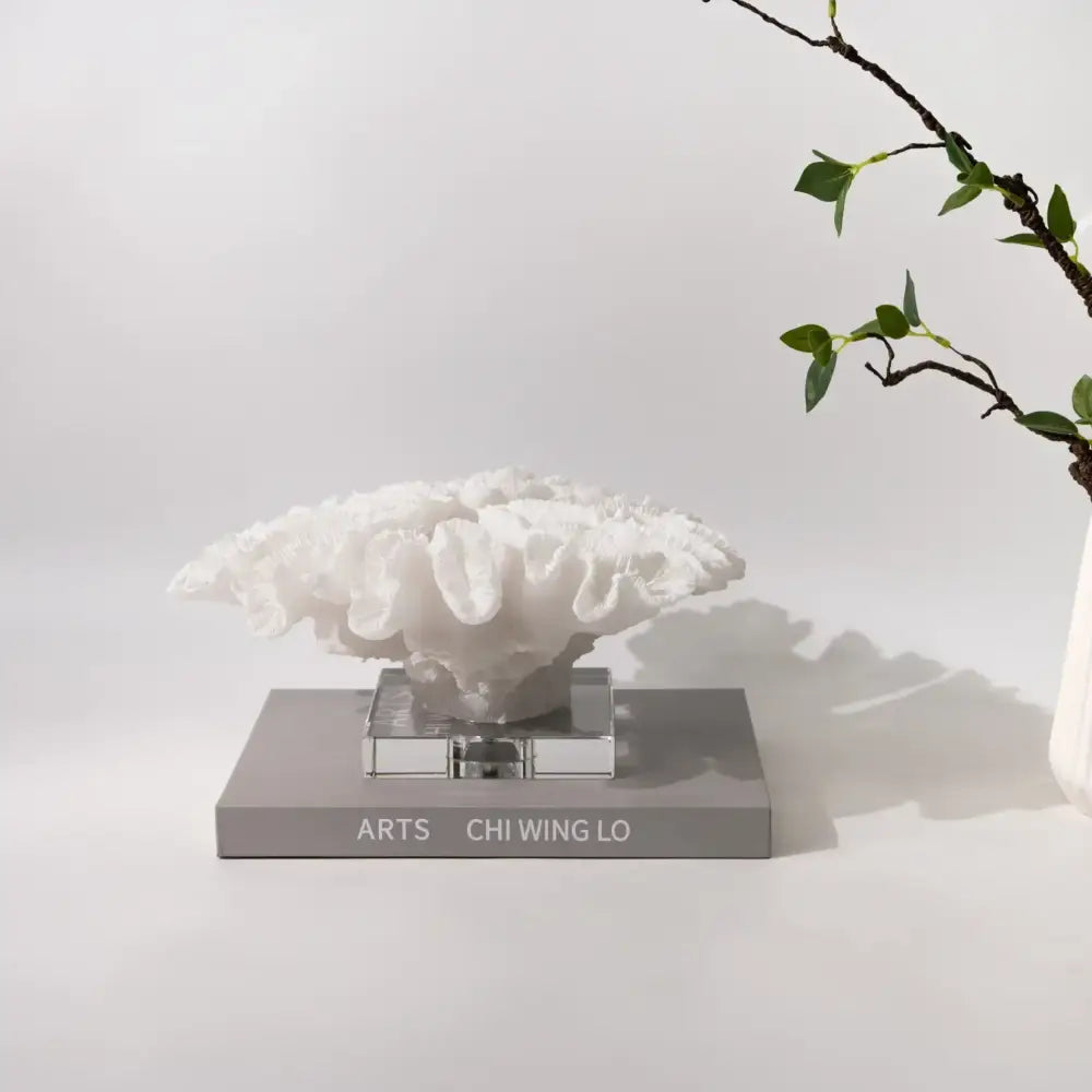 White coral tree resin handicrafts with textured ruffled surface mounted on clear crystal base for living room decorbites decor