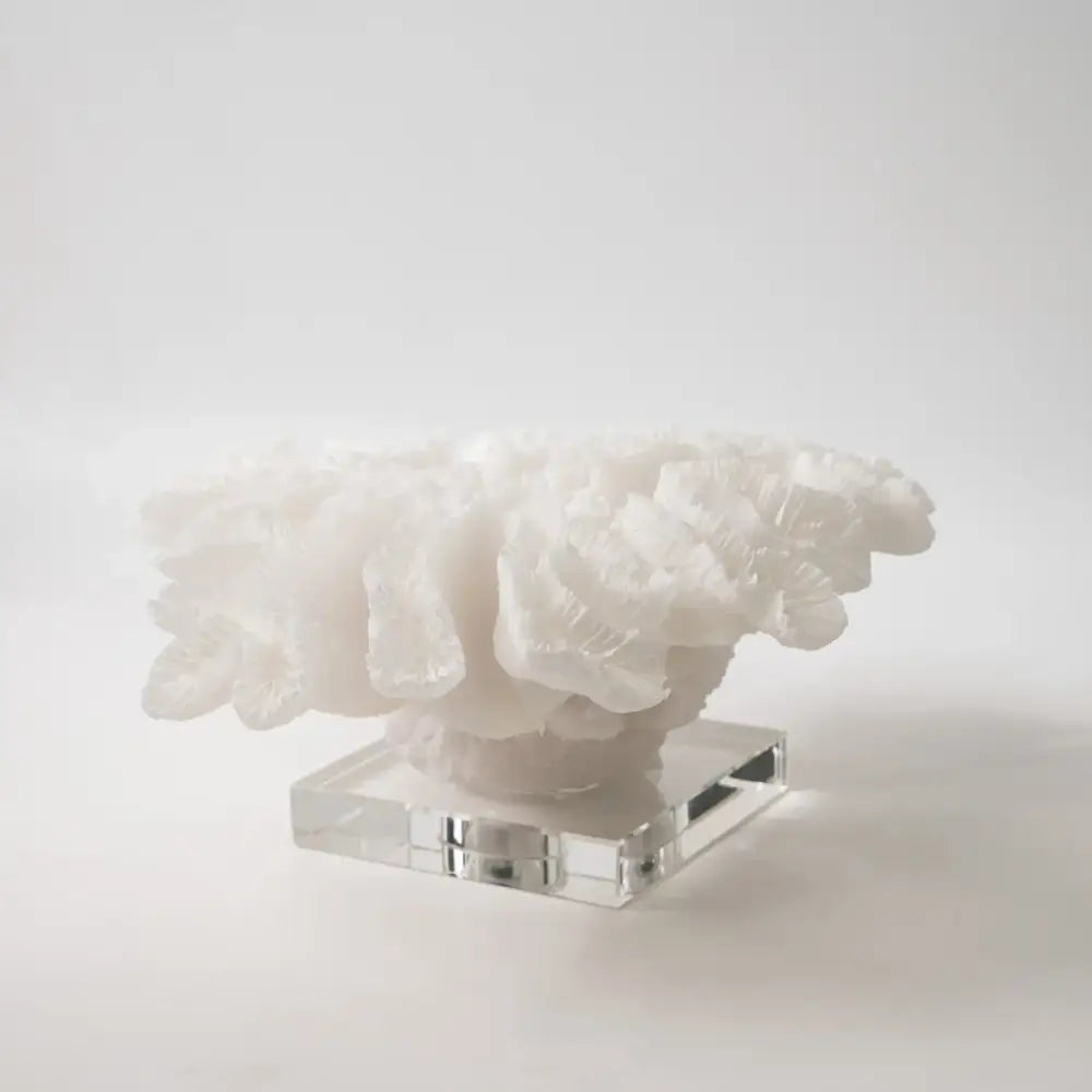A delicate white coral tree resin handicraft with natural textures on a crystal base for living room decorbites decor