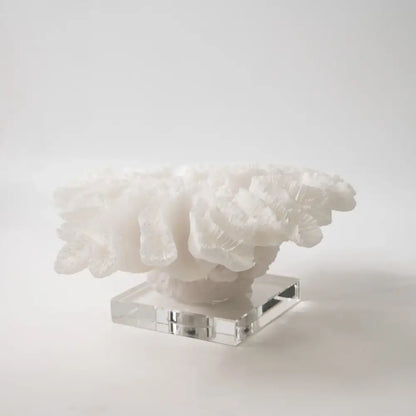 A delicate white coral tree resin handicraft with natural textures on a crystal base for living room decorbites decor