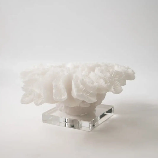 A delicate white coral tree resin handicraft with natural textures on a crystal base for living room decorbites decor