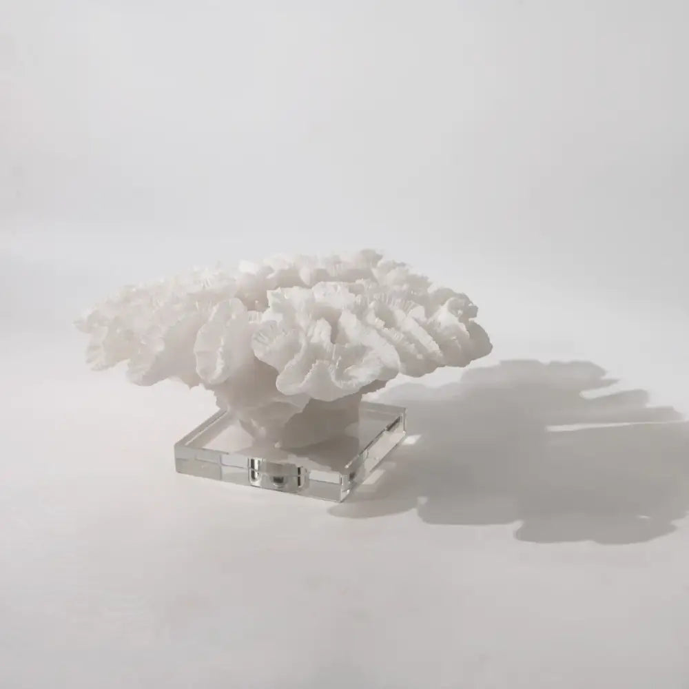 White coral tree resin handicrafts mounted on clear crystal base for living room decor by decorbites coral tree