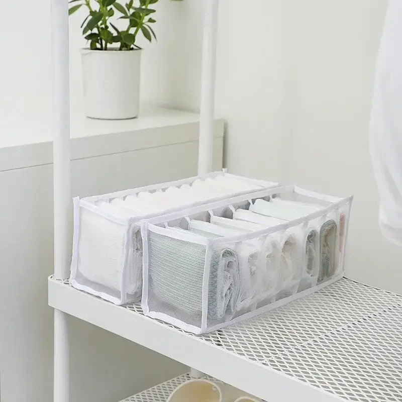 White transparent mesh organizer box set with six compartments neatly holding folded underwear for wardrobe storage