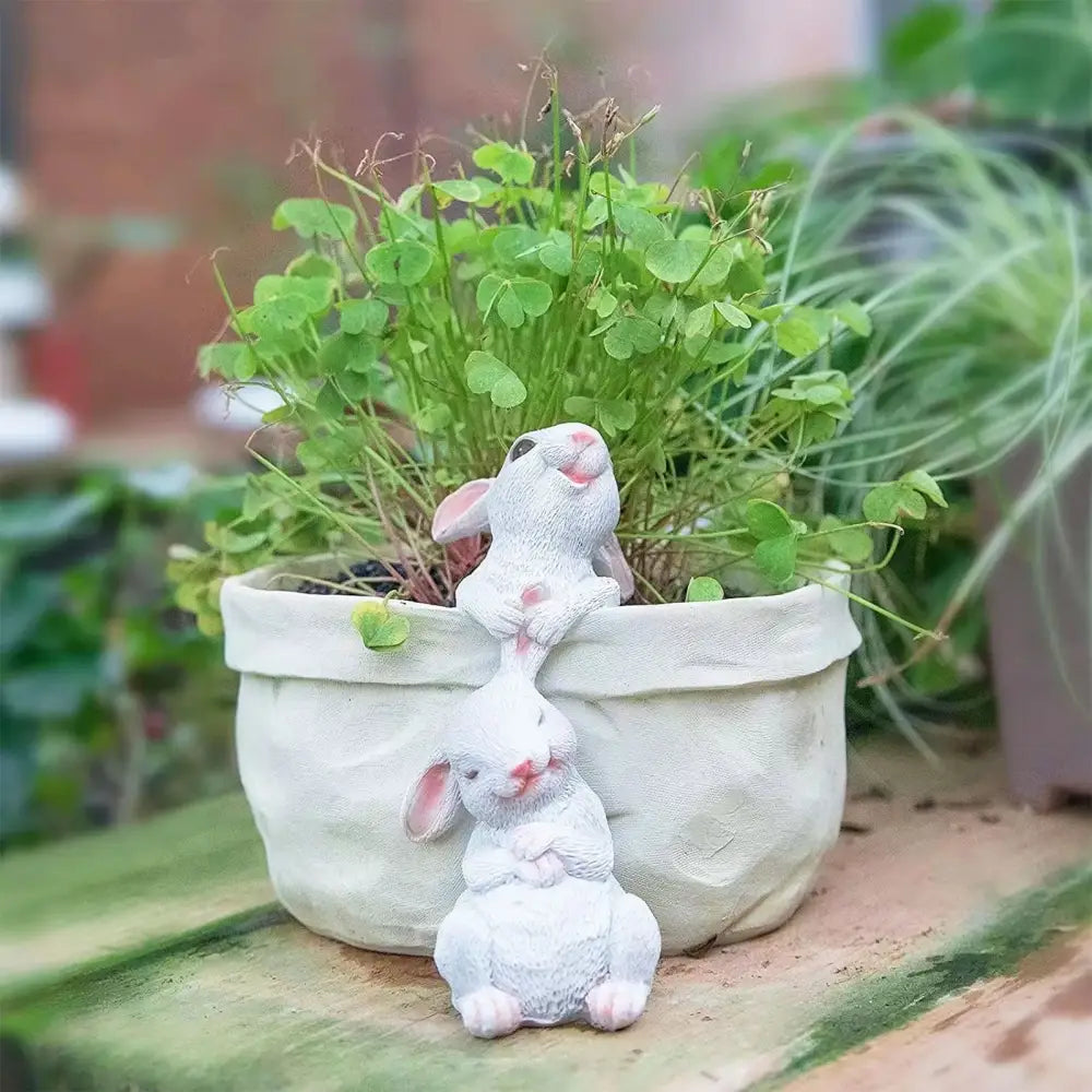 White resin bunny succulent planter pot with pink inner ears perched on matching pot filled with green clover decorbites bunny succulent