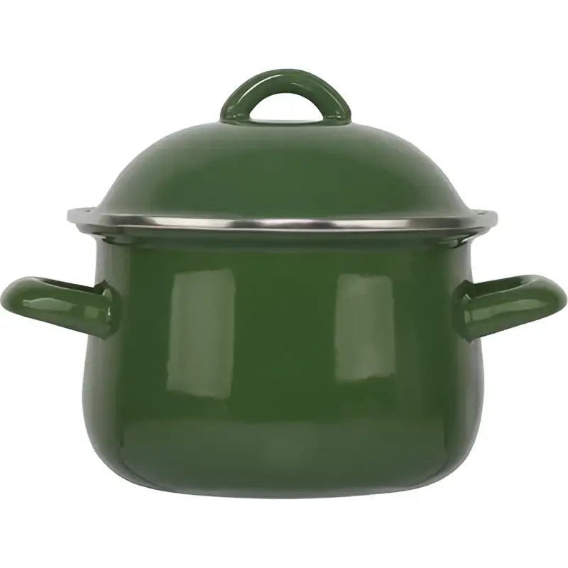 Green enamel cooking pot with lid and silver rim featuring side handles as an enamel stock pot for kitchen use